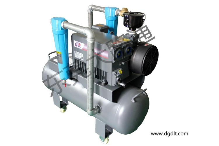 dlt.v0100單級(jí)油式旋片真空泵帶精密過(guò)濾器系統(tǒng)